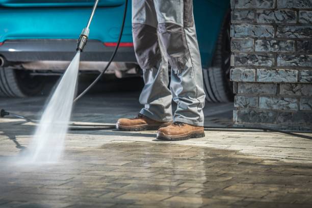 Best Building Exterior Washing  in Cecilia, LA