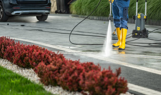 Best Solar Panel Cleaning  in Cecilia, LA